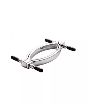 Adjustable Labia And Clit Clamp