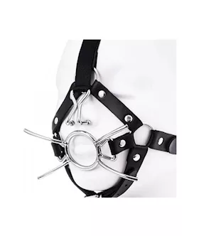 Spider Gag Head Harness