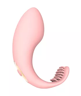 Brushed Aside Remote Controlled Vibrator