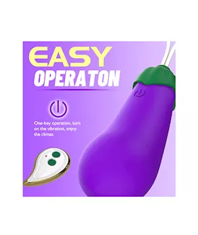 Remote Controlled Eggplant Vibrator