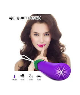 Remote Controlled Eggplant Vibrator
