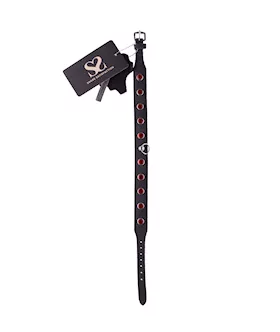 Bound X Red Crystal Stud Collar