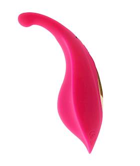 Amore Remote Control Couples Vibrator