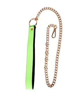 Luminated  Leash with Chain