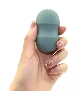 Brush With Pleasure Vibrator