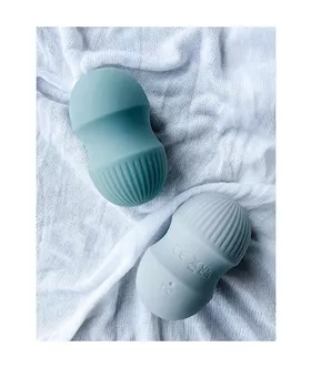 Brush With Pleasure Vibrator