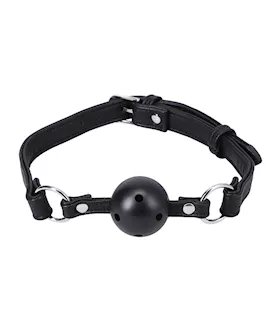 Ball Gag In A Bag Black