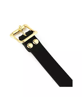 Mouth Stretcher Gag
