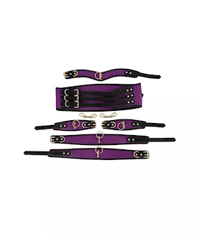 Premium Full Restraint Set