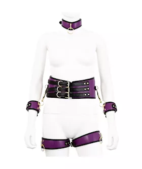 Premium Full Restraint Set