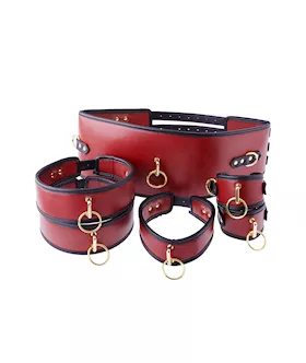 Premium Full Restraint Set