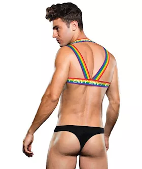 Envy Rainbow Harness Sm Bx