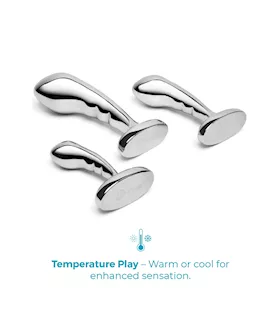 B Vibe Stainless Steel P Spot Training Set