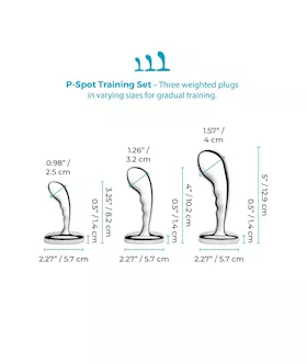 B Vibe Stainless Steel P Spot Training Set