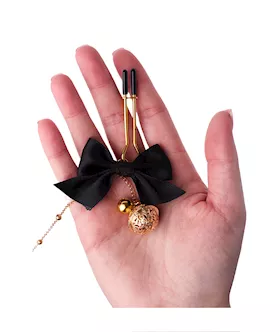 Sexy Temptress Nipple Clamp And Plug Kit