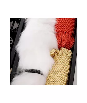 Lockink All-in-1 Bdsm Play Kit - Dark Alligator