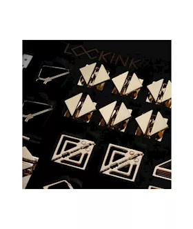 Lockink All-in-1 Bdsm Play Kit - Dark Alligator