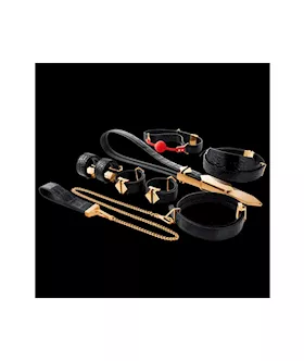 Lockink All-in-1 Bdsm Play Kit - Dark Alligator