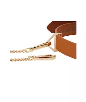 Lockink Tied Collar With Leash Set