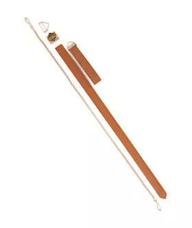 Lockink Tied Collar With Leash Set