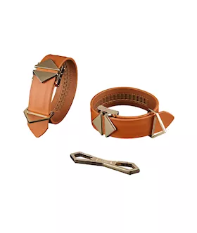 Lockink Premium Cuff Restraint Set