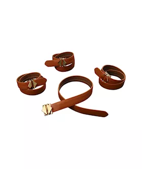 Lockink Hogtie Set