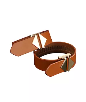 Lockink Hogtie Set