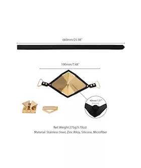 Lockink Golden Punker Muzzle Gag Set 