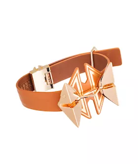 Lockink Posture Collar