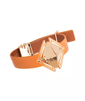 Lockink Posture Collar