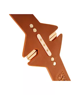 Lockink Posture Collar