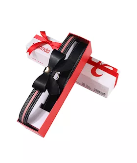 Sevanda Love Heart Butterfly Leash & Collar Set