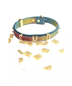 Sevanda Diy Alphabet Leather Collar