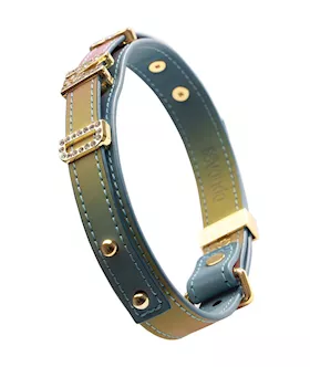 Sevanda Diy Alphabet Leather Collar