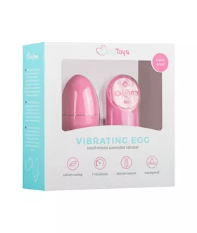 Easytoys Remote Control Vibrating Egg