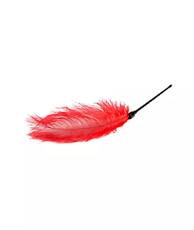 Easytoys Feather Tickler