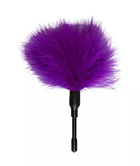 EasyToys Small Feather Tickler