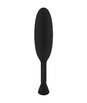 Easytoys Heavy Fulfiller Weighted Butt Plug