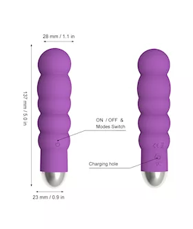 Amore Passion Bullet Vibrator