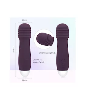 Amore Honey Dipper Mini Wand Vibrator