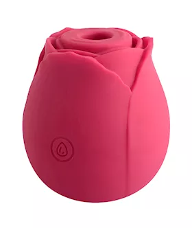 Rosy Suction Vibrator