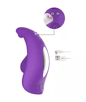 Toboggan Remote Controlled Wearable Vibrator