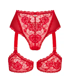 Obsessive Belovya Garter Panties