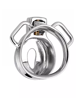 Imprisoned Sissy Stainless Steel Chastity Cage
