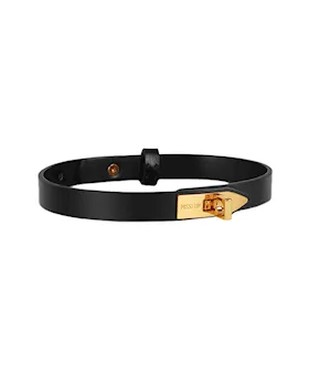 Elegant Collar With Leash