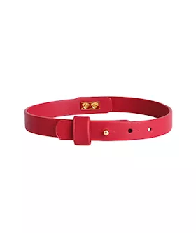 Elegant Collar With Leash