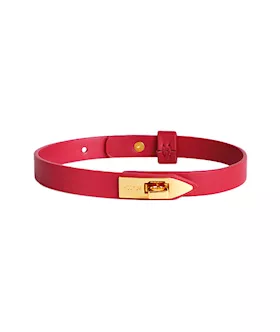 Elegant Collar With Leash