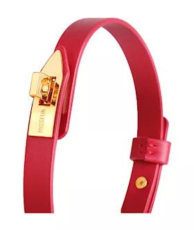 Elegant Collar With Leash