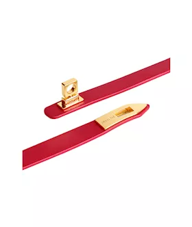 Elegant Collar With Leash