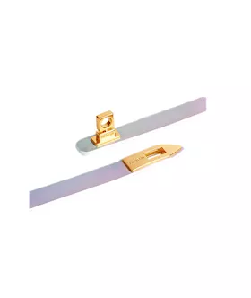 Elegant Collar With Leash